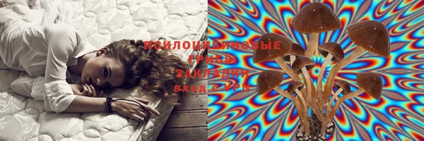дживик Аркадак