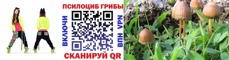Псилоцибиновые грибы Magic Shrooms  blacksprut как зайти  Полевской 